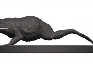 Bullfrog Modello di stampa 3D
