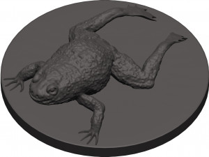 Bullfrog Modello di stampa 3D