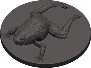 Bullfrog 3D Print Model