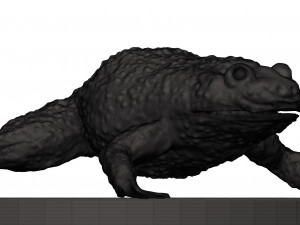 Bullfrog Modello di stampa 3D