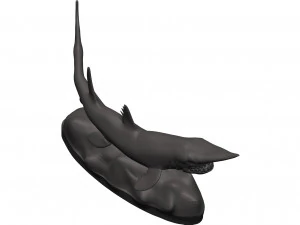Goblin shark 3D Print Model
