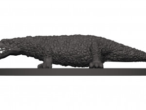 Komado dragon 3D Print Model