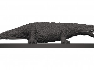 Komado dragon 3D Print Model