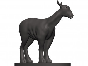 Markhor Modèles 3D en vedette
