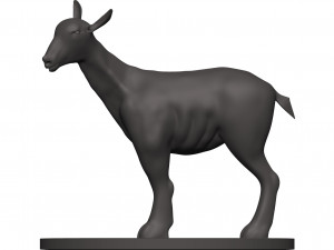 Markhor 3D Принт Модель