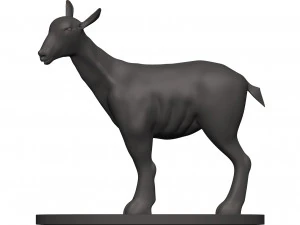 Markhor 3D Print Model