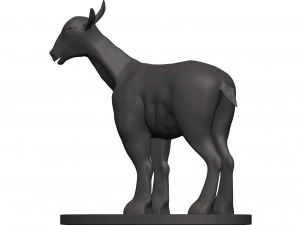 Markhor 3D Print Model