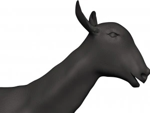 Markhor 3D Print Model