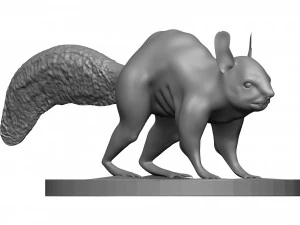 Ardilla roja Modelo de impresión 3D