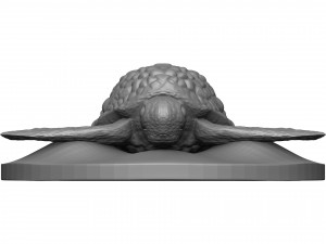 Sea turtle 3D प्रिंट मॉडल