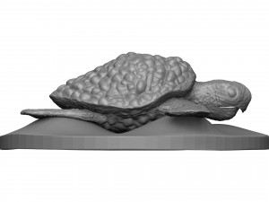 Sea turtle 3D प्रिंट मॉडल