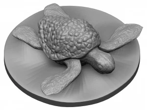 Tortue de mer Modèles 3D en vedette