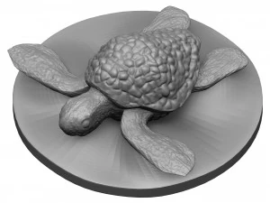 Tortue de mer Modèles 3D en vedette