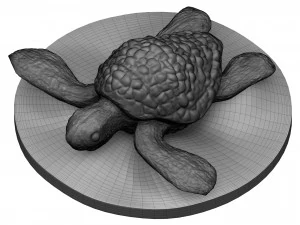 Tortue de mer Modèles 3D en vedette