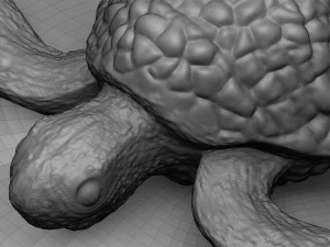 Tortue de mer Modèles 3D en vedette