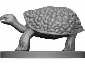 Tortose 3D प्रिंट मॉडल