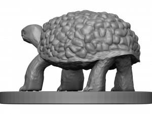 Tortose 3D प्रिंट मॉडल