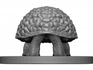 Tortose 3D प्रिंट मॉडल