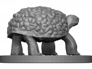 Tortose 3D Print Model