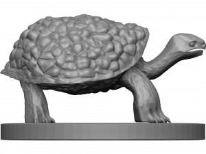 Tortose 3D प्रिंट मॉडल