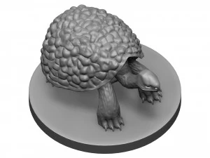 Tortose 3D Print Model
