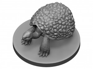 Tortose 3D प्रिंट मॉडल