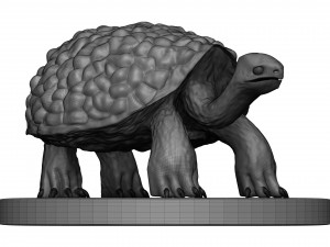 Tortose 3D प्रिंट मॉडल