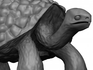 Tortose 3D प्रिंट मॉडल