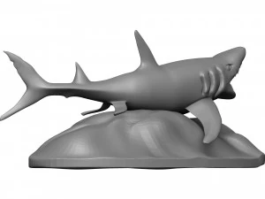 Shark 3D Print Model