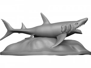 Shark 3D Print Model