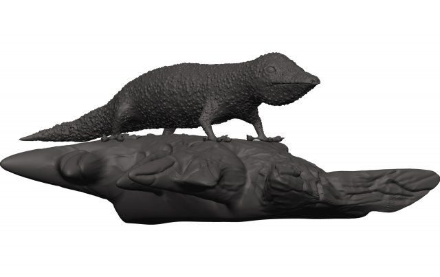 Gecko 3D Print Model .c4d .max .obj .3ds .fbx .stl .blend 