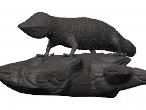 Gecko 3D Print Model