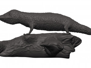 Gecko 3D Print Model