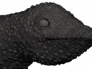 Gecko 3D Print Model
