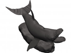 Humback whale Model Cetak 3D