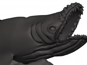 Humback whale Model Cetak 3D