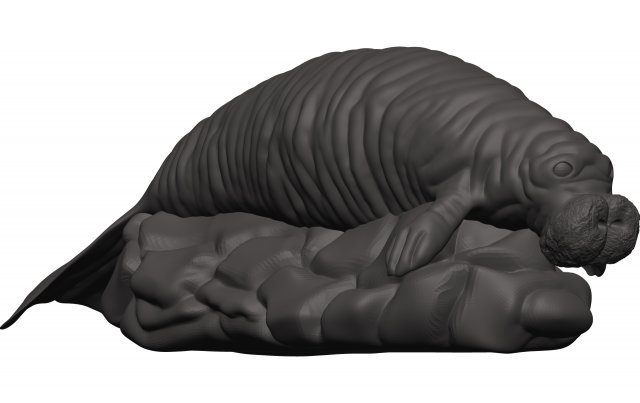 Manatee 3D-printmodel .c4d .max .obj .3ds .fbx .stl .blend 