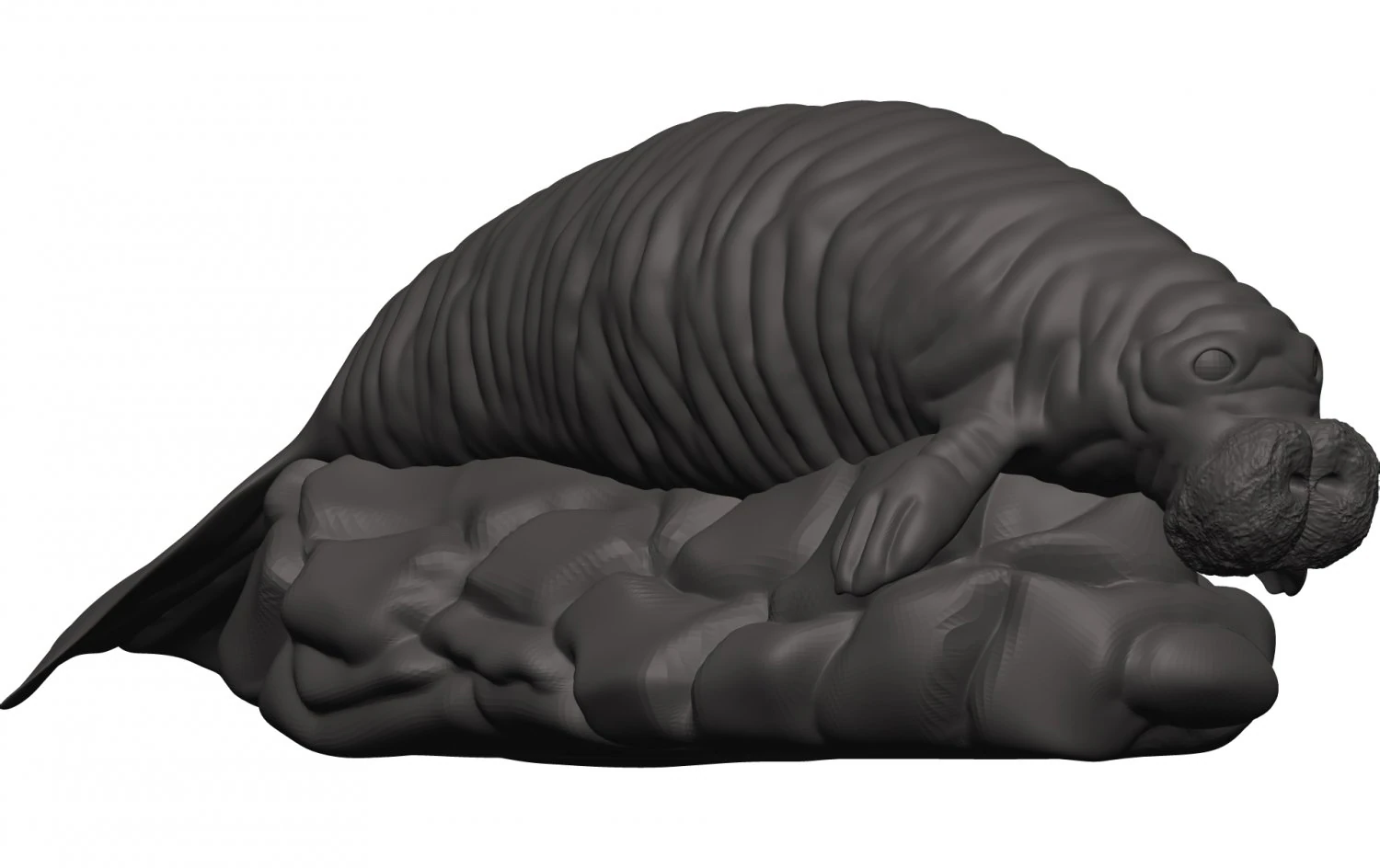 Manatee 3D Print Model .c4d .max .obj .3ds .fbx .stl .blend 