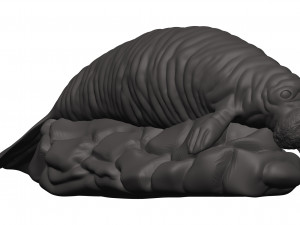 Manatee 3D Принт Модель