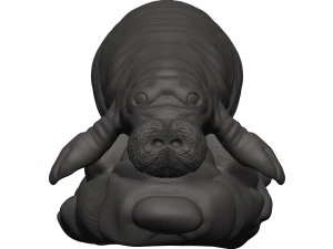 Manatee 3D Print Model