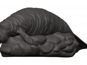 Manatee 3D Print Model