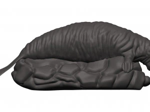 Manatee 3D Print Model