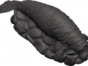 Manatee 3D-printmodel