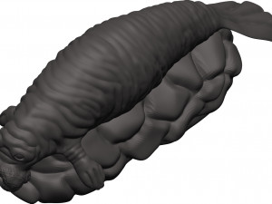 Manatee 3D-printmodel