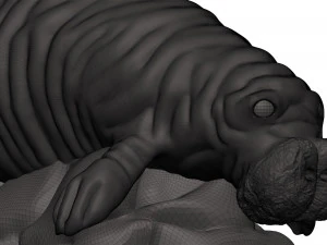 Manatee 3D Print Model