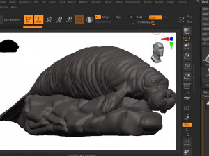Manatee 3D Print Model