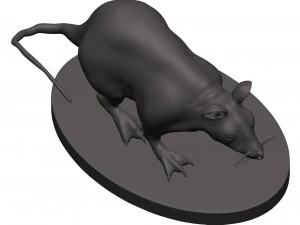 Mouse 3D Print Model