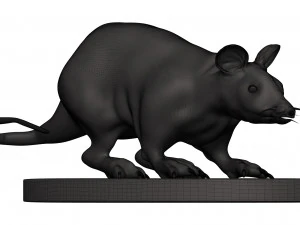 Mouse 3D Print Model