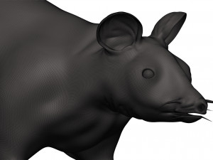 Mouse 3D-Druckmodell