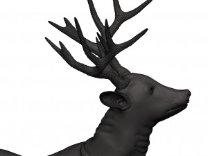 Mule deer 3D Print Model